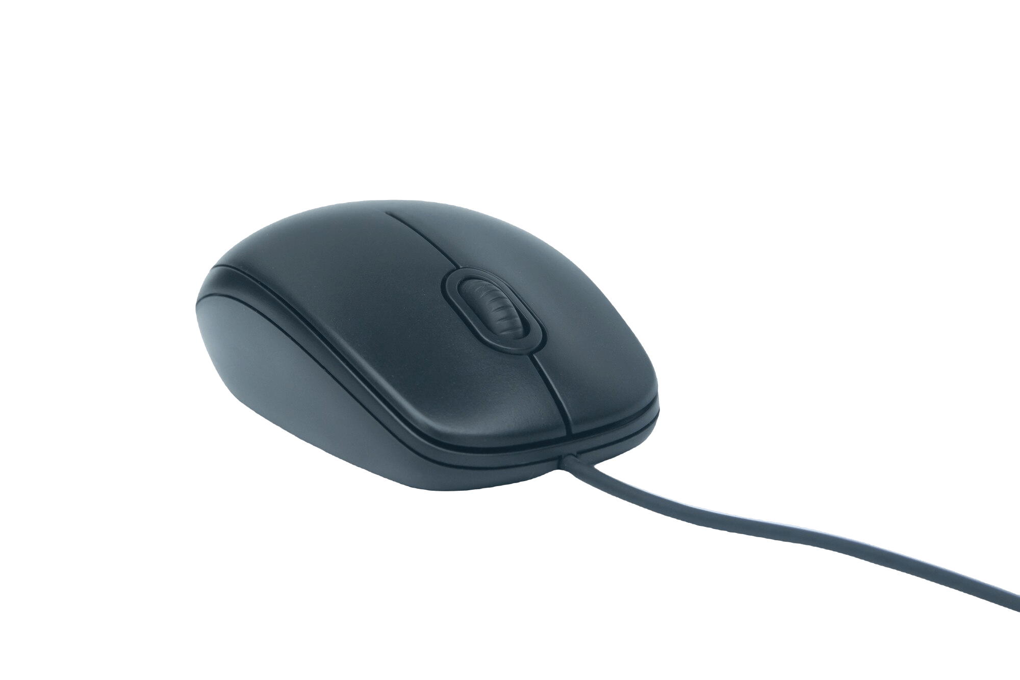 mice